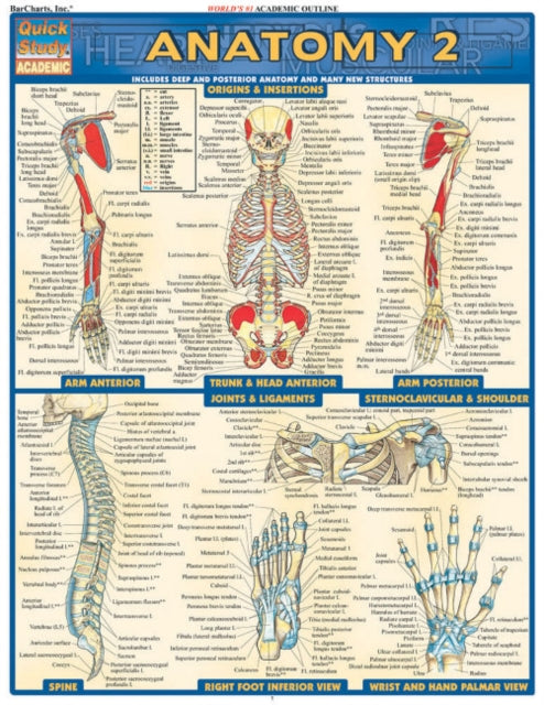 Binding: Visual And Mapping
Description: Loaded with beautifully illustrated diagrams clearly and concisely labelled for easy identification. Illustrations by award - winning medical illustrator Vincent Perez.