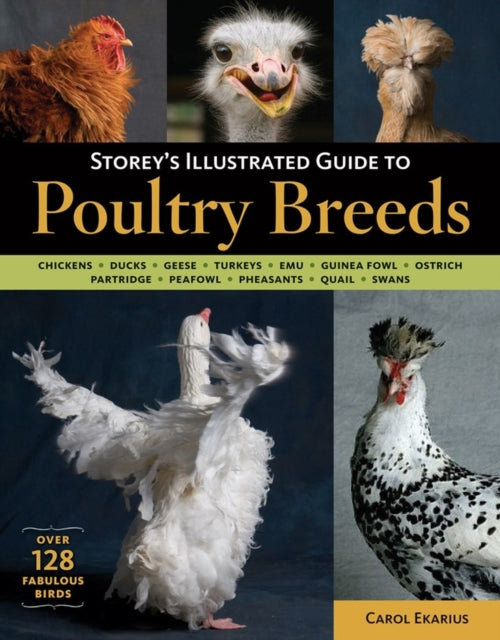 Binding: Paperback
Description: More than 128 birds strut their stuff across the pages of this definitive primer for intrepid poultry farmers and feather fanciers alike.