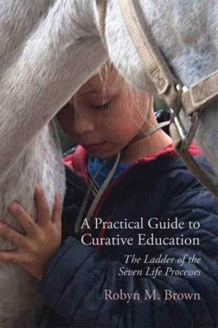 Binding: Paperback
Description: Drawing on the ideas of Rudolf Steiner's pioneering Curative Education course this book goes back to basics and examines the potential benefits of this unique educational approach in today's classrooms.