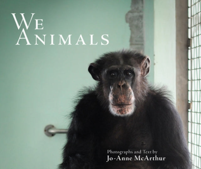 Binding: Paperback
Description: Celebrating ten years since its publication We Animals illustrates and investigates animals in the human environment: whether they're being used for food fashion and entertainment or research or are being rescued to spend their remaining years in sanctuaries.
