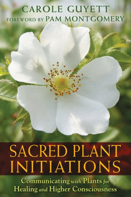 Binding: Paperback
Description: A practical guide to connecting with plants through ceremony.