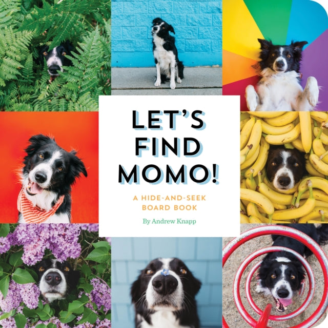 Binding: Special Bindings
Description: Everyone's favorite hide - and - seek dog returns in this colorful kid - friendly photography board book. Beloved border collie Momo is back. if you can find him! Look for Momo hiding on a farm in a bookstore at a construction site and in other unlikely locations.