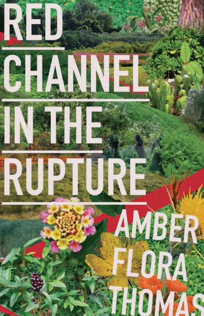 Binding: Paperback
Description: Red Channel in the Rupture is a gathering place for the troubling abuses of the past. Looking through the lens of the present moment Thomas shows us the open palm necessary to embrace change as she finds beauty in bodies gnashed trapped and crushed into change.