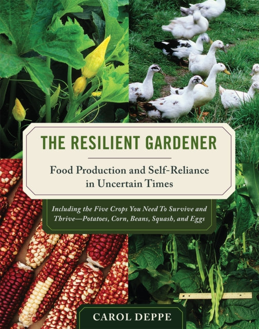 Binding: Paperback
Description: Scientist/gardener Carol Deppe combines her passion for organic gardening with newly emerging scientific information from many fields resilience science climatology climate change ecology anthropology paleontology sustainable agriculture nutrition health and medicine.