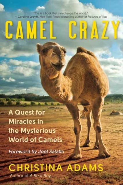 Binding: Paperback
Description: Select Guide Rating
Title: Camel Crazy A Quest For Healing In The Secret World Of Camels
Author(s): Adam Christina
Publisher: New World Library
Barcode: 9781608686483
Pages: 304 Pages
Publication Date: 10/29/2019
Category: Natural History