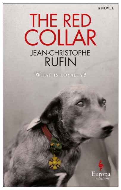 Binding: Paperback
Description: In 1919, in a small town in the province of Berry France under the sweltering temperatures of summer heat wave a war hero is being held prisoner in an abandoned barrack. In front of the door to his prison a mangy dog barks night and day.