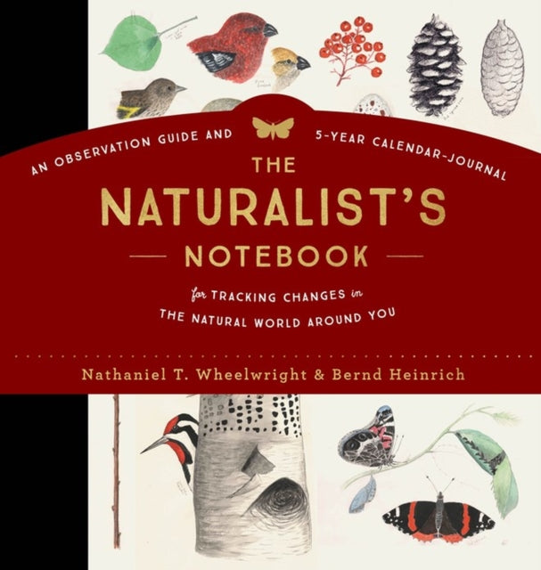 Binding: Hardcover
Description: Become a more attentive observer and deepen your appreciation for the natural world.