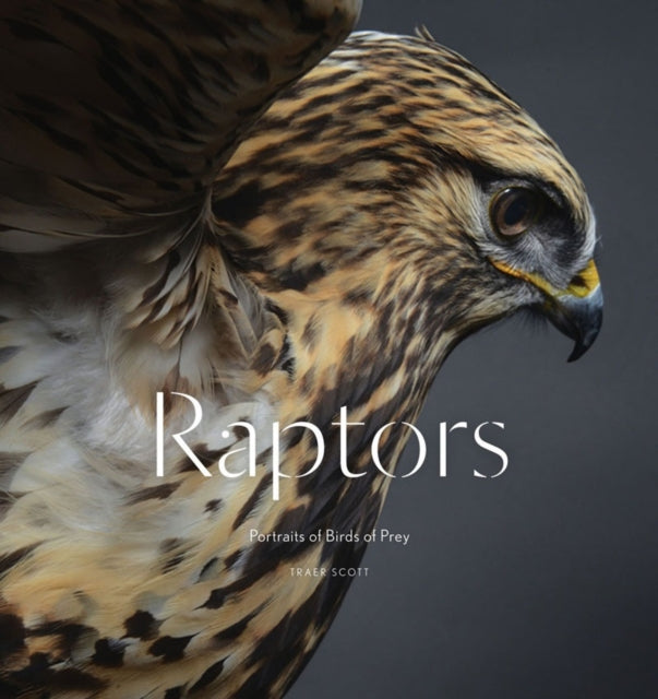 Binding: Hardcover
Description: Sixty spectacular color photos representing twenty - five different species from the familiar to the exotic including bald eagles kestrels red - tailed hawks spectacled owls turkey vultures aplomado falcons a goshawk (the feathered star of H is for Hawk) and many others.