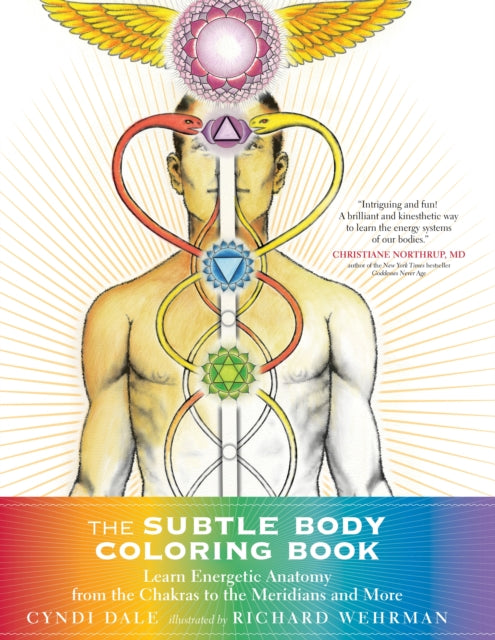 Dale Cyndi - The Subtle Body Coloring Book Learn Energetic Anatomy - - From The Chakras To The Meridians And More - Paperback