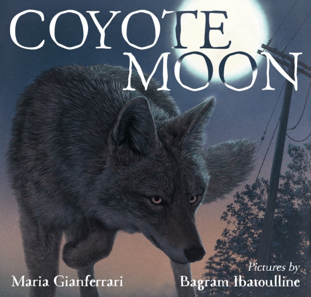 Binding: Hardcover
Description: A howl in the night. A watchful eye in the darkness. A flutter of movement among the trees. Coyotes. In the dark of the night a mother coyote stalks prey to feed her hungry pups.