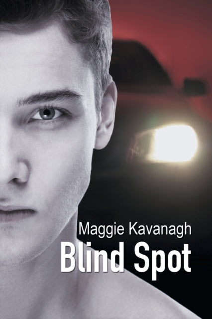 Binding: Paperback
Description: Sequel to Inner Sanctum The Stonebridge Mysteries: Book Three Living together is bliss for Sam Flynn and Nathan Walker but things never stay quiet for long in Stonebridge. On the night of Sam's twenty - ninth birthday the much - hated mayor of Stonebridge is found dead at his home.