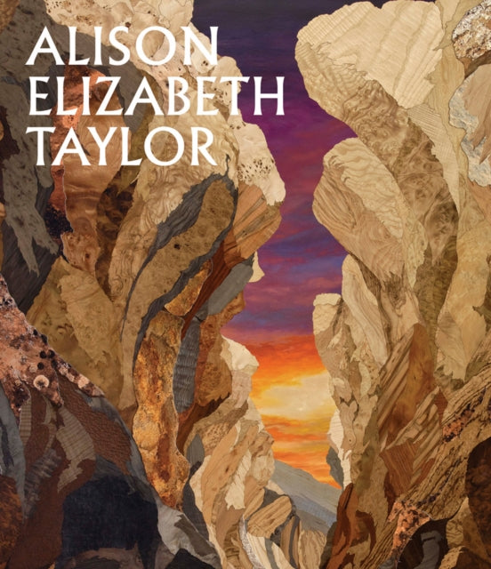 Distributed Art Publishers - Alison Elizabeth Taylor: The Sum Of It - Hardcover