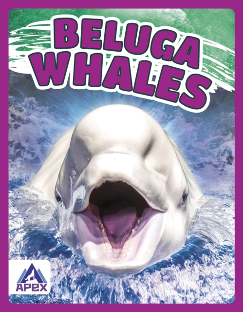 Binding: Paperback
Description: This book gives fascinating facts about beluga whales and their lives in the wild. Short paragraphs of easy - to - read text are paired with plenty of colorful photos to make reading engaging and accessible.