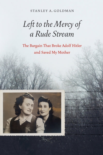 Left To The Mercy Of A Rude Stream The Bargain That Broke Adolf Hitler And Saved My Mother