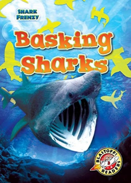 Pettiford Rebecca - Basking Sharks - Hardcover