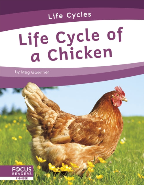 Binding: Paperback
Description: This informative book explains the life cycle of a chicken including the stages of development and changes it goes through to become an adult.