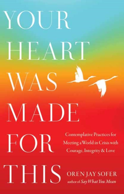 Sofer Oren Jay - Your Heart Was Made For This Contemplative Practices For Meeting A World In Crisis With Courage Integrity And Love - Paperback