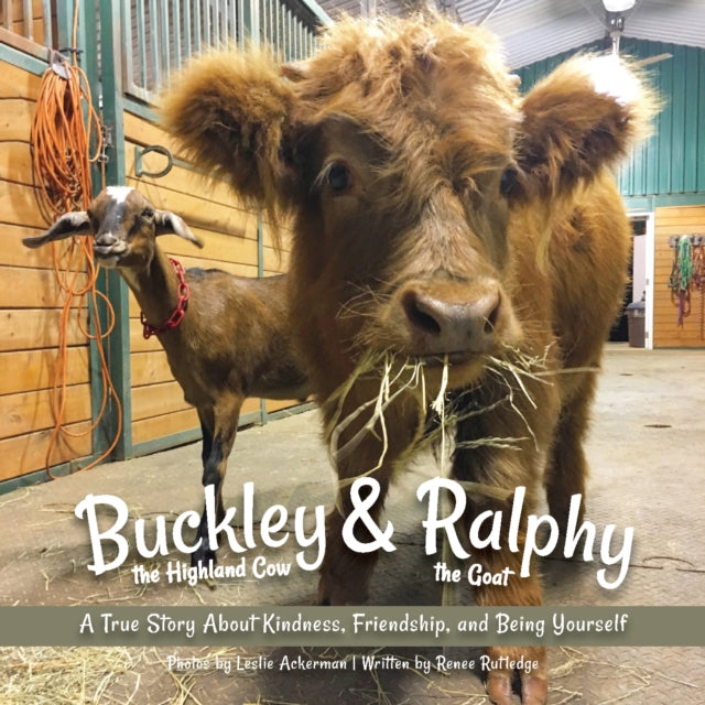 Binding: Paperback
Description: When a baby highland cow named Buckley suddenly finds himself all alone at a brand - new farm with no other cows surrounded by unfamiliar unfriendly faces he isn't sure what to do.