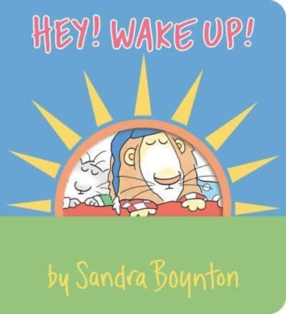 Boynton Sandra - Hey! Wake Up!