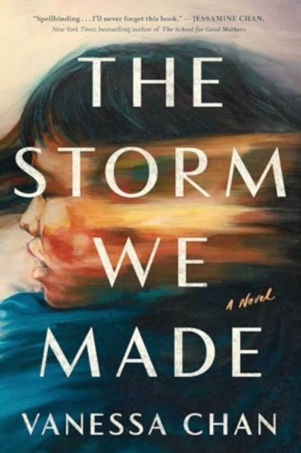 The Storm We Made A Novel
