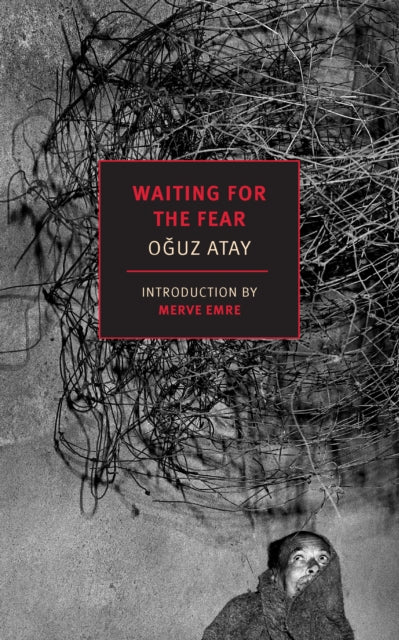 Binding: Paperback
Description: Select Guide Rating
Title: Waiting For The Fear
Author(s): Hubbell Ralph
Publisher: The New York Review Of Books Inc
Barcode: 9781681377964
Pages: 240 Pages
Publication Date: 10/22/2024
Category: Short Stories