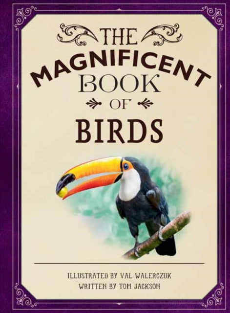 Binding: Hardcover
Description: This beautifully illustrated series will have you captivated. Stunning illustrations intriguing facts and a large format make an engaging reference to revisit time and again.