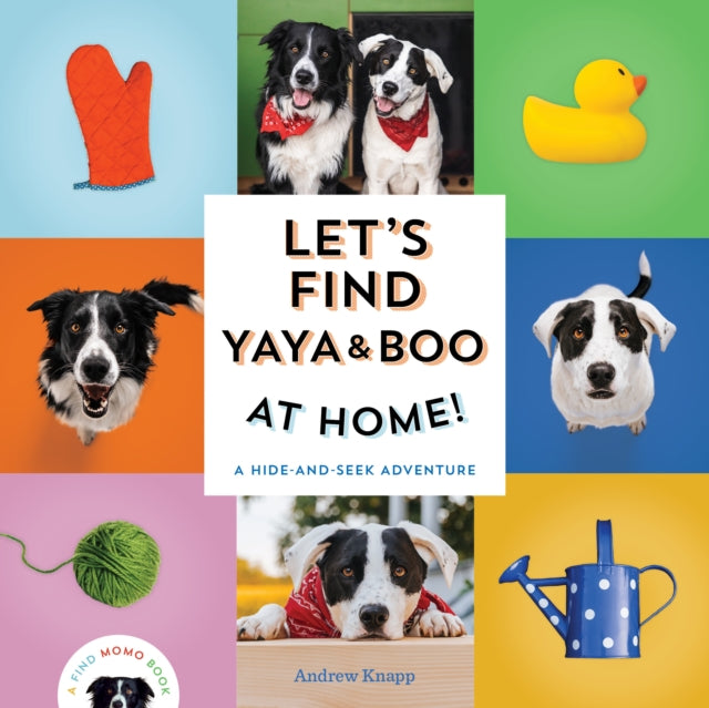 Knapp Andrew - Let's Find Yaya And Boo At Home! A Hide - And - Seek Adventure