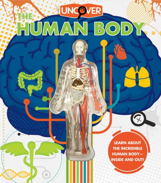 Binding: Hardcover
Title: Uncover The Human Body
Author(s): Colombo Luann, Eliza Carey
Publisher: Silver Dolphin Books
Barcode: 9781684125494
Pages: 16 Pages, Full Color
Publication Date: 2/9/2021
Series: Uncover
Category: Children’S & Teenage Reference Material