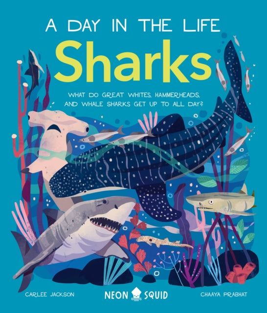 Binding: Hardcover
Description: " An attractive series for kids intrigued by animals in the wild." - - Booklist Set over a 24 - hour period meet deadly tiger sharks baby lemon sharks and gigantic basking sharks in this kids nonfiction book about the coolest predators in the ocean.