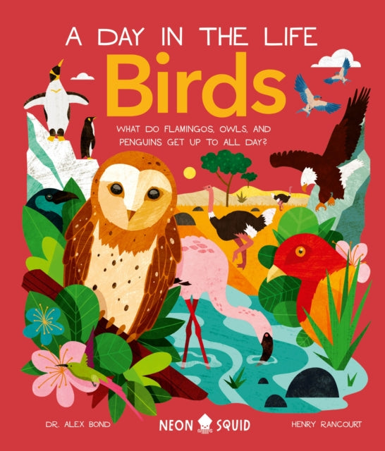 Binding: Hardcover
Description: Set over a 24 - hour period meet speedy ostriches tiny hummingbirds and majestic eagles in this kids nonfiction book about the coolest birds in the world. Soar through the skies to follow the lives of our feathered friends as they fight dance and play their way through their day.