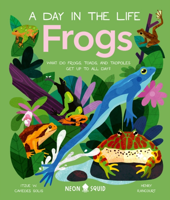 Binding: Hardcover
Description: Set over 24 hours meet see - through frogs tiny tadpoles and rampaging toads in this kids nonfiction book by expert Dr. Itzue W. Caviedes - Solis. Journey into the rainforest to follow the lives of these nocturnal animals as they dance hunt and fight their way through their day.