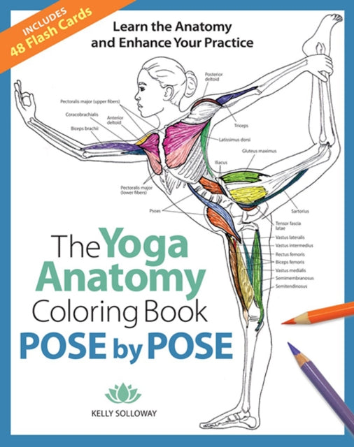 Binding: Paperback
Description: This companion guide to the bestselling Yoga Anatomy Coloring Book helps experienced and aspiring yogis deepen their practice through coloring the essential anatomy engaged in 50 poses.