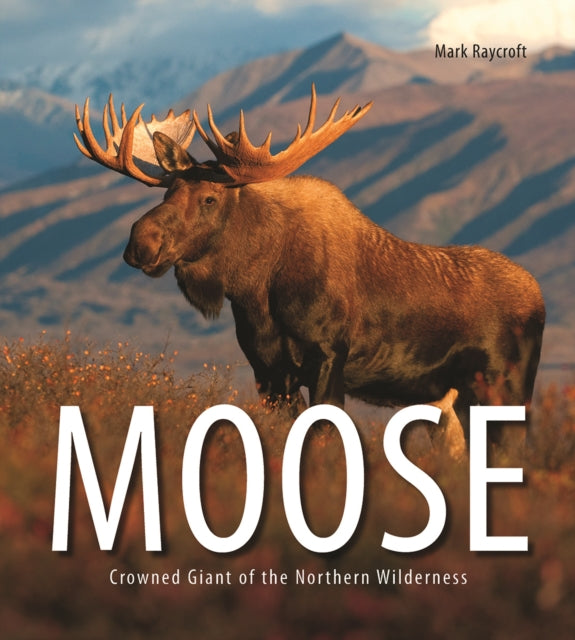 Binding: Paperback
Description: The biology and natural history of the northwood's largest land mammal illustrated with the exquisite photographs by famed wilderness photographer Mark Raycroft.