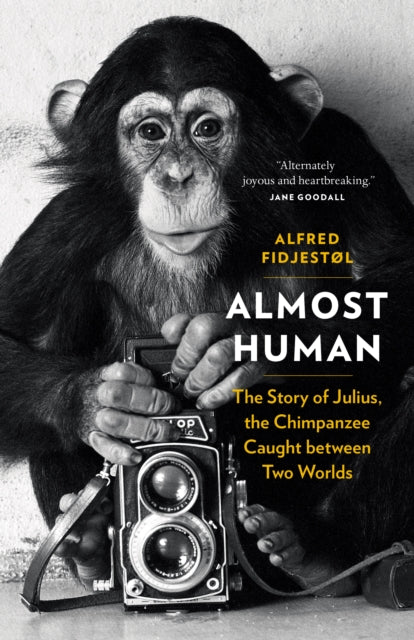 Binding: Hardcover
Description: Alternately joyous and heartbreaking. Jane Goodall A moving and revealing biography of Norway's most famous chimpanzee. Julius is a national celebrity the inspiration behind pop hits and bestselling books.