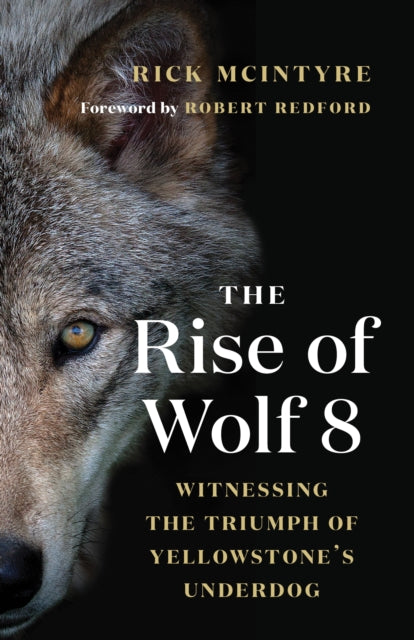 Binding: Paperback
Description: The powerful origin story of one of Yellowstone's greatest and most famous wolves. Washington Post The Rise of Wolf 8 is a goldmine for information on all aspects of wolf behavior and clearly shows they are clever smart and emotional beings.