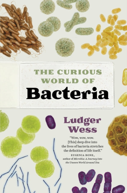 Binding: Hardcover
Description: Bacteria were the first life on Earth. But what do we really know about them? In this captivating science - driven book you ll learn everything you need to know about these often misunderstood and incredibly interesting microbes.