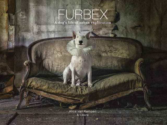 Binding: Hardcover
Description: A unique humorous and yet haunting gift book of photographs documenting the journeys of Claire the bull terrier around Europe's most exceptional abandoned buildings.