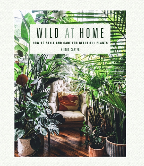 Binding: Hardcover
Description: Make your home a healthier and more beautiful place to be with Hilton Carter's inspirational ideas. " Hilton Carter's love for plants is infectious His lush and exuberant displays are inspiring reminders that plants can be so much more than neat little containers on a window sill.
