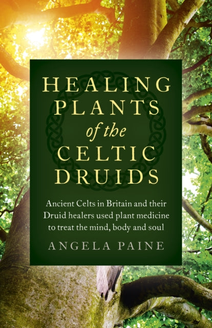Binding: Paperback
Description: We can learn from the ancient Celts who were in tune with their environment and showed respect and reverence for all living things. By following their meditative practices we can tune in to our intuitive powers and learn to listen.