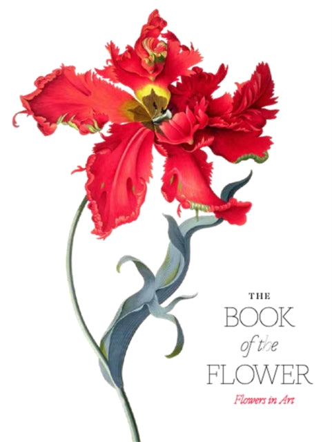 Wilson Kendra - The Book Of The Flower Flowers In Art - Paperback