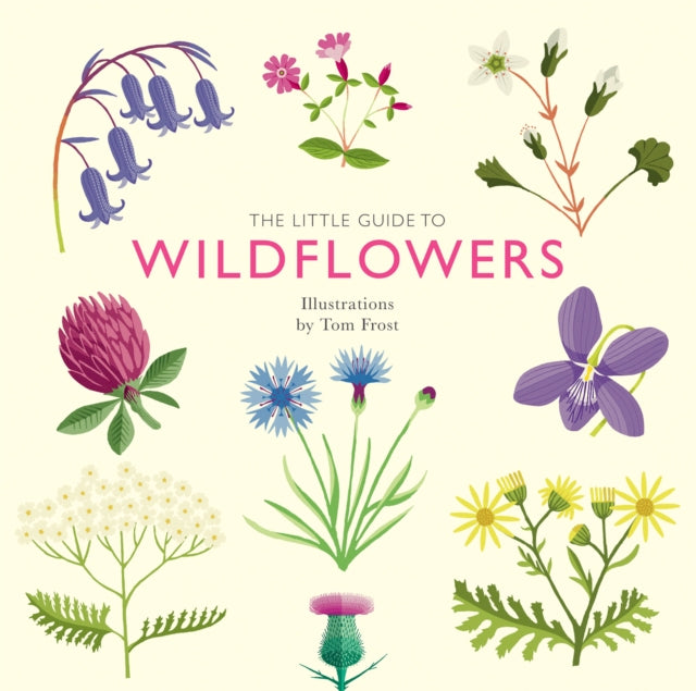 Binding: Hardcover
Description: Discover the intriguing world of wildflowers with this handy pocket guide. Beautifully illustrated throughout The Little Guide to Wildflowers offers a fresh perspective on identifying the flowers around you.