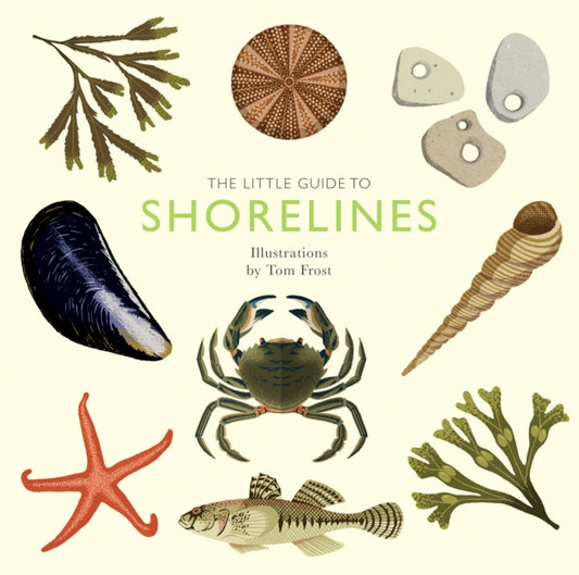 The Little Guide To Shorelines