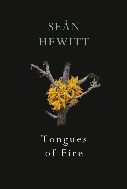 Hewitt Sean - Tongues Of Fire - Paperback
