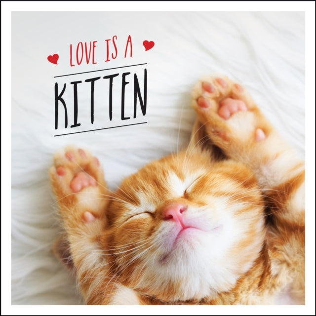 Binding: Hardcover
Description: Life is better with a kitten Those big round eyes. Those tiny mews. Those wobbly steps on little paws. Who can resist the adorable charms of a kitten? What they lack in size they make up for in personality and these heart - melting bundles of fur have got us head over heels in love.