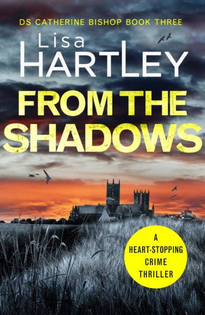 Binding: Paperback
Description: How do you catch a killer when no one is willing to talk? When a homeless man is found murdered in picturesque Lincoln the police are met by a wall of silence from those who may hold the key to solving the crime.