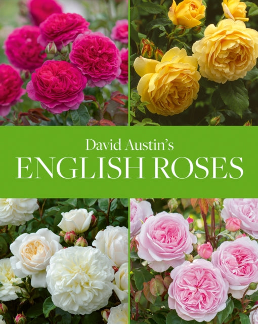 Binding: Hardcover
Description: " Fully illustrated the charm of his English Roses comes across on every page even if the reader has to imagine their scent." - The Irish Garden" Experts will appreciate the notes on each rose's breeding.