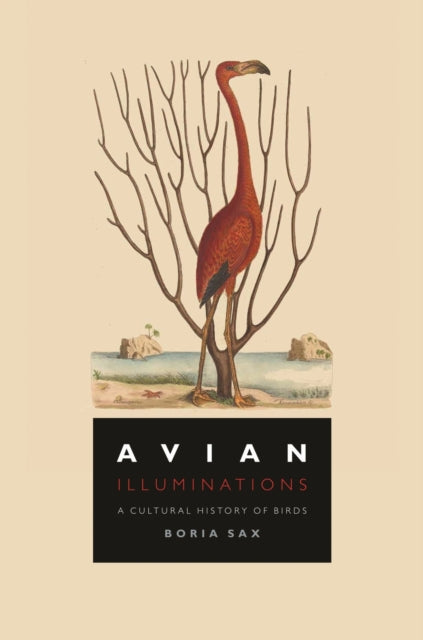 Binding: Hardcover
Description: A superbly illustrated overview of our long relationship with our feathered friends.