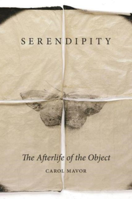 Binding: Hardcover
Description: The sadness as well as the joy of unexpected discoveries.