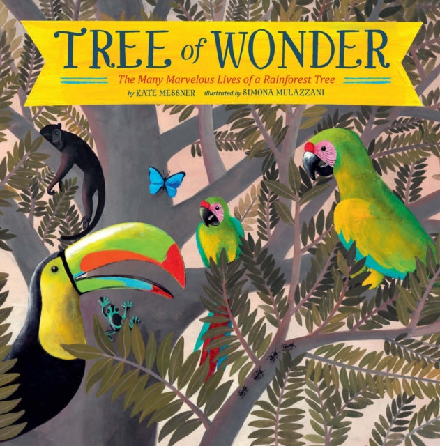 Binding: Paperback
Description: From the acclaimed author of Over and Under the Snow Kate Messner! Now in paperback Tree of Wonder is an exciting introduction to the biodiversity of the rainforest biome.