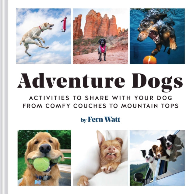 Watt Lauren - Adventure Dogs Activities To Share With Your Dog From Comfy Couches To Mountain Tops - Hardcover